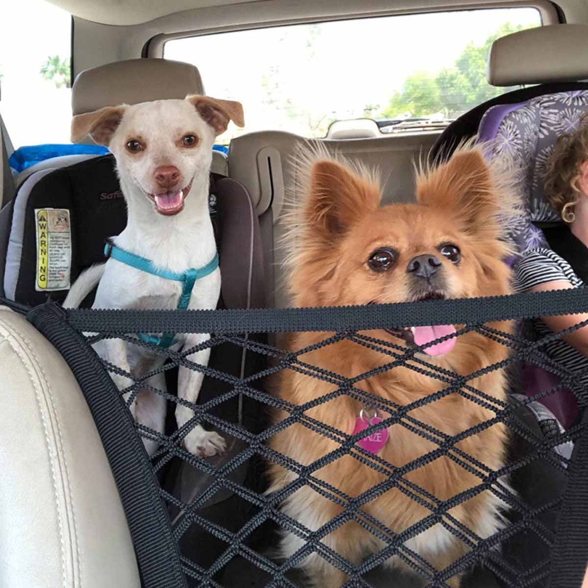 ペット犬後部座席車のフェンス犬隔離保護ネット弾性二重層収納分 - Partition Screen Divider のレビューと価格