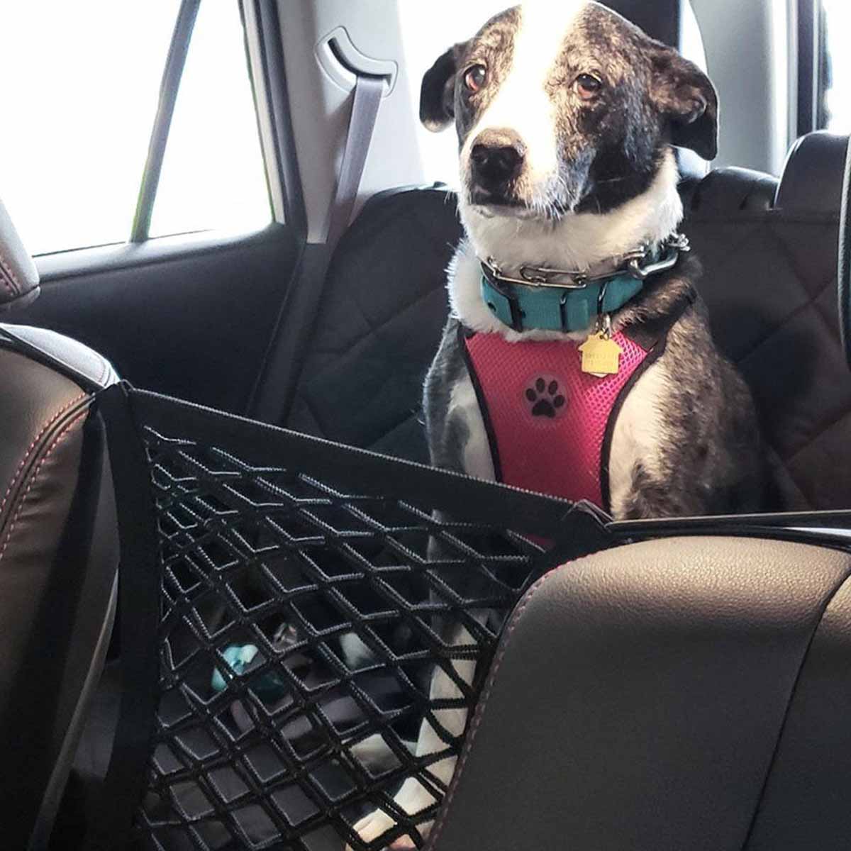 ペット犬後部座席車のフェンス犬隔離保護ネット弾性二重層収納分 - Partition Screen Divider のレビューと価格